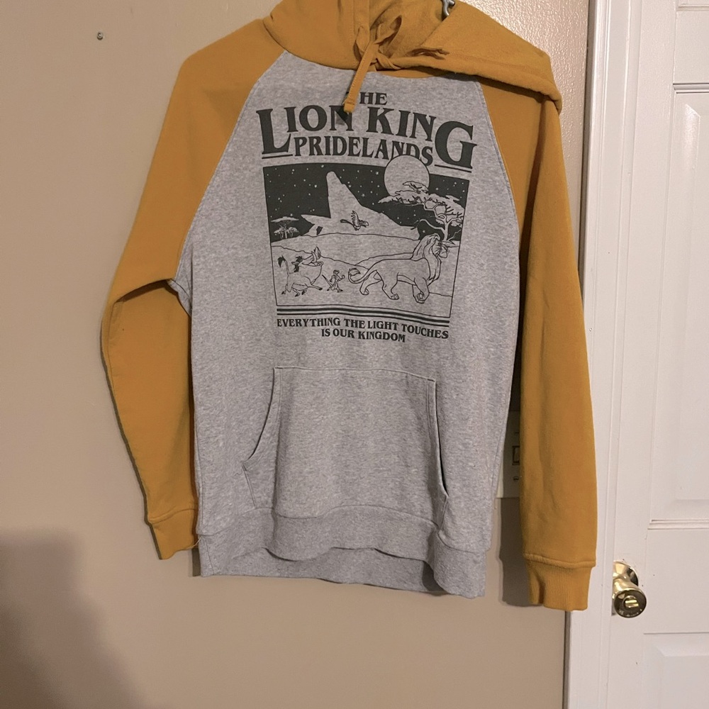 Disney Lion King Small Hoodie
